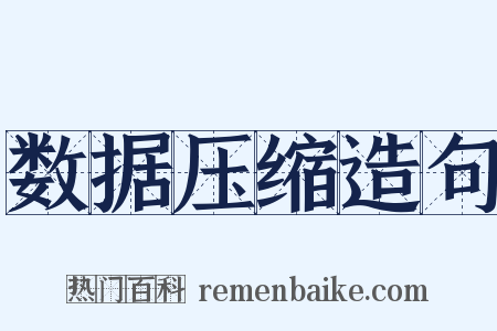 数据压缩造句是什么意思的图片